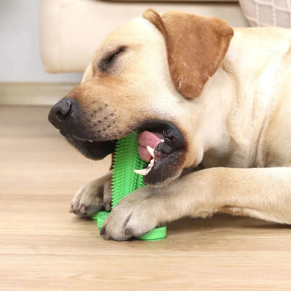 Vent Toy Sucker Dog Toothbrush for Cleaning Teeth
